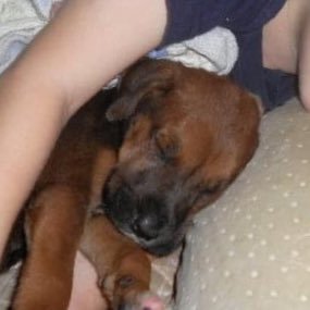 Profile Picture of Tyler Casy Huddleston Jr (@TylerCasy) on Twitter