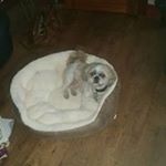 Profile Picture of Derek Johnstone (@dfjohnstone) on Instagram