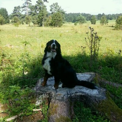 Profile Picture of BIG (@IniguezBianca) on Twitter