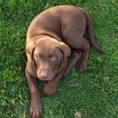 Profile Picture of Cameron Mcgrath (@DefluoSolus) on Twitter