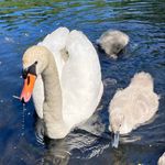 Profile Picture of Craig Emery (@craig_e_) on Instagram