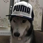 Profile Picture of Andreas Behrens (@a.behrens_ak_kreativator) on Instagram