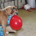 Profile Picture of Doris M Spaulding (@domisp) on Facebook