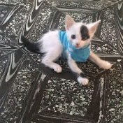 Profile Picture of Jonathan Aceituno (@JonathanAceituno) on Youtube