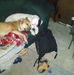 Profile Picture of Donna Graviett (@donna.graviett.31) on Facebook