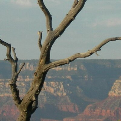 Profile Picture of Andy Ringgold (@romanhammer) on Twitter