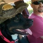 Profile Picture of Kevin Searle (@searle6613) on Instagram