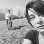 Dani Fink - Instagram Profile Picture of Dani Fink (@fink936) on Instagram