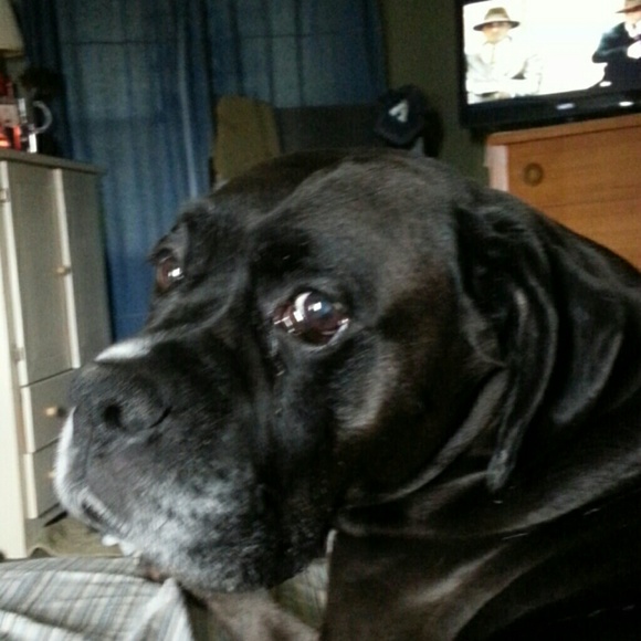 Profile Picture of Jodi Mcclain (@kuyper) on Poshmark