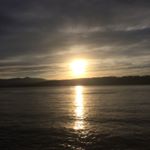 Profile Picture of david.aronson_ (@david.aronson_) on Instagram