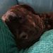 Profile Picture of George Tidey (@tiddey696) on Pinterest