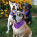 Profile Picture of Cynthia Schlichting (@cynthia.schlichting) on Facebook