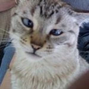 Profile Picture of Gina Wilde (@gina.wilde.750) on Myspace