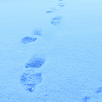 Profile Picture of Wenjin Chung (@jin.esis) on Flickr