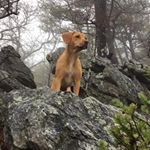 Profile Picture of Eli McCormick (@elijay_yz450) on Instagram