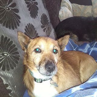 Profile Picture of Edwin Barker (@Edwin-Barker) on Facebook