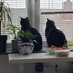 Profile Picture of Michaela Ringleb (@michaela.ringleb.7) on Facebook