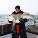 Profile Picture of Arne Carlsson (@acarlsson4199) on Pinterest