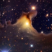 Profile Picture of Adam Tran (@adamtran6623) on Youtube