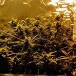 Profile Picture of Michael Mclarnon (@wizard1888mc) on Instagram