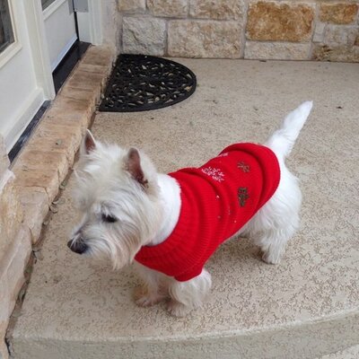 Profile Picture of GreenLineAustin (@GreenLineAustin) on Twitter