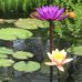Profile Picture of Debbie Reid (@debbie.reid.31521301) on Facebook