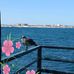 Profile Picture of Annette Parus (@annette.parus.56) on Facebook