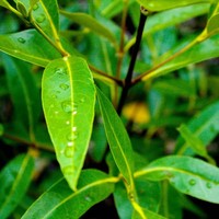 Profile Picture of Bryan Chow Kit Mun (@bryan-chow-kit-mun) on Quora