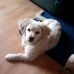 Profile Picture of Frank Rosenthal (@frank.rosenthal.7902) on Facebook