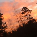 Profile Picture of Haley Blount (@haley_blountj) on Instagram