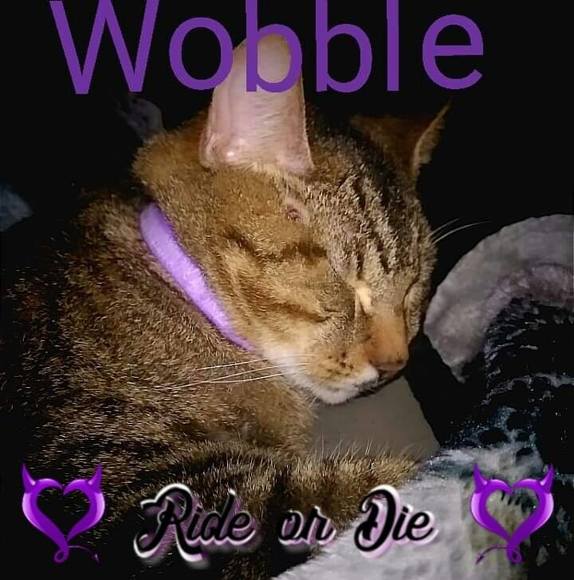 Profile Picture of Julie Mackey (@jujum16) on Poshmark