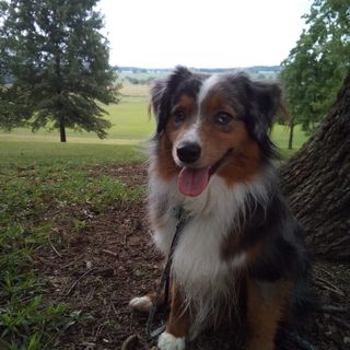 Profile Picture of Maxwell Dyer (@Maxwell-Dyer) on Facebook