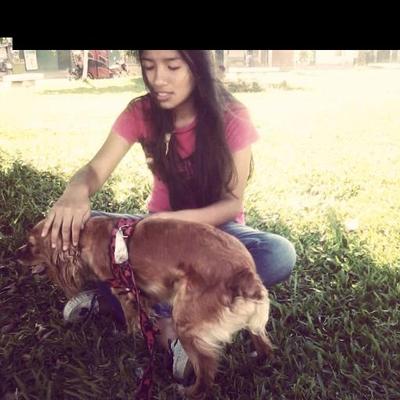 Profile Picture of Stephanie Santa Cruz (@steph_stcruz) on Twitter