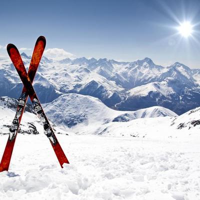 Profile Picture of Ian Allard (@allard_ian) on Twitter