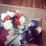 Profile Picture of Sherry Zander (@mademoiselle_poppy) on Instagram