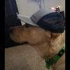 Profile Picture of user356233558328 (@@alex_hyatt) on Tiktok