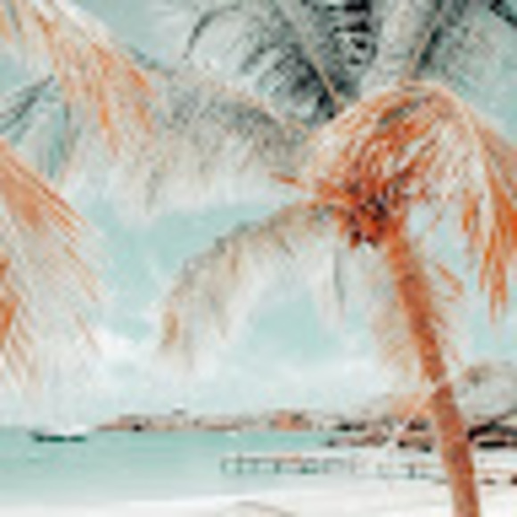 Profile Picture of Brooklyn Hautzinger (@614965) on Poshmark