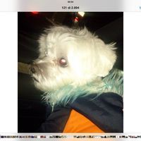 Davide Pagani - Quora Profile Picture of Davide Pagani (@davide-pagani-4) on Quora