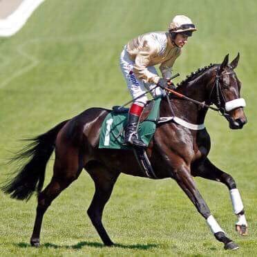 Profile Picture of Richard Hobson (@RHBloodstock) on Twitter