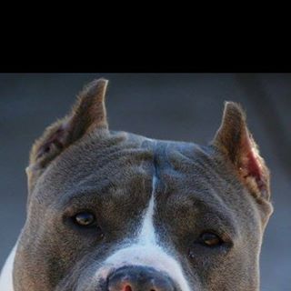 Profile Picture of Vincenzo Fiume (@vincenzo.fiume.142) on Facebook