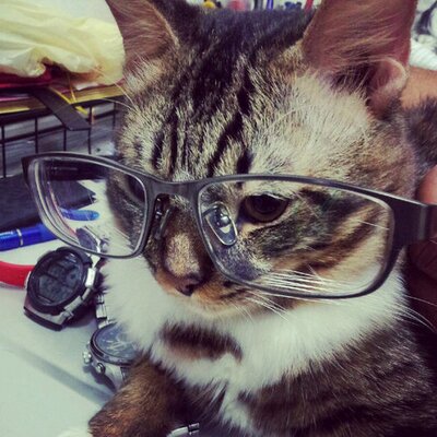 Lynn - Twitter Profile Picture of Lynn (@lynn_cleo) on Twitter