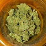 Profile Picture of Sandra Achille (@sandraachille) on Instagram