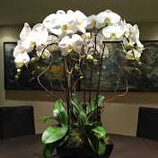 Profile Picture of Gloria Chow (@dgsung10) on Youtube