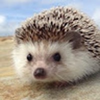 Profile Picture of Daniel Venegas (@daniel-venegas-65) on Quora