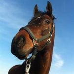 Profile Picture of Michael Forti (@michael_fo_dubya_die_fowdie) on Instagram