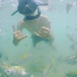 Profile Picture of Marcos Gerhardt (@marccos_gb) on Instagram