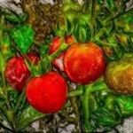 Profile Picture of Althea Schatzberg (@althea.schatzberg.304) on Instagram