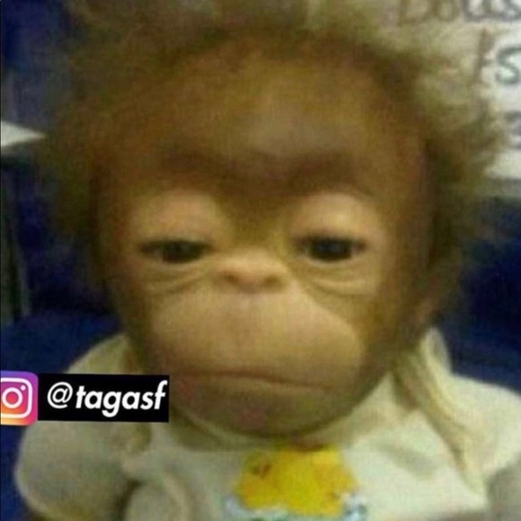 Profile Picture of Pedro Chaparro (@pedrochaparro) on Poshmark