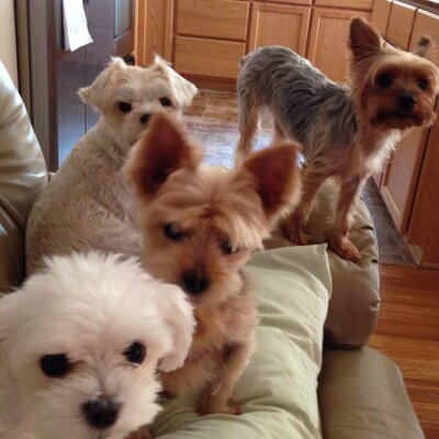 Profile Picture of Jean Byrd (@luv2byrd) on Twitter