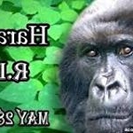 Profile Picture of luke.homan (@luke.homam) on Instagram